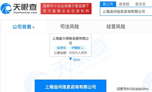 盛大网络成立追问信息咨询公司，发力网络安全产业